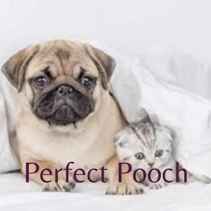 Perfect Pooch 1oz Scent Shot (Odouraze Collection)